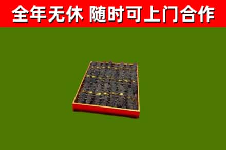 崂山回收海参